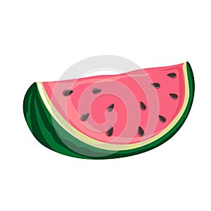 Slice of watermelon. Green striped berry with red pulp and brown seeds