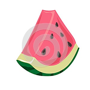 Slice of watermelon. Green striped berry with red pulp and brown seeds