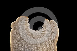 Slice of White Bread with Bite Gap on a Black Background