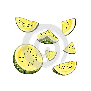 Slice and whole striped yellow watermelon set with black seeds, sketch style, vector illustration isolated on white background.