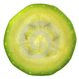 Slice of zucchini or courgette isolated photo