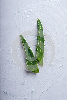 Sliced aloe vera in gel with oxygen. Skincare and healthcare concept, anti-aging serums, moisturizing gels