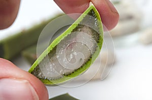 sliced aloe vera leaves in hand and pills on white ba