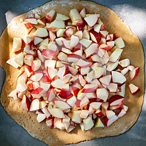 Sliced apples. Apple pieces. Red cut apple for pie. Top view. Selective focus