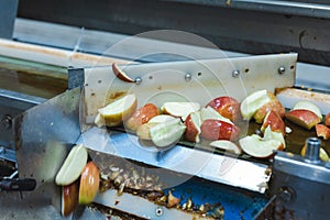 Sliced apples on a conveyor belt in food processing facility