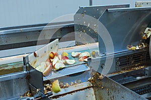 Sliced apples on a conveyor belt in food processing facility