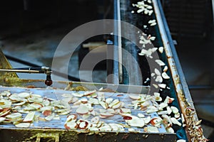 Sliced apples on a conveyor belt in food processing facility