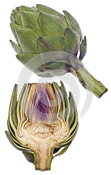 Sliced Artichoke