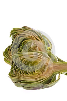 Sliced Artichoke Isolated