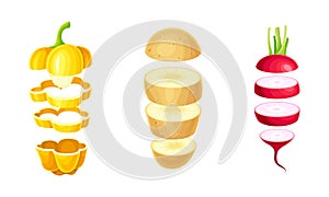 Sliced Bell Pepper, Potato and Radish Arranged in Vertical Row as Cut Food Vector Set