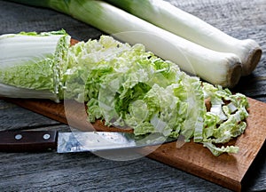 Sliced cabbage and shallots