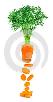 sliced carrot with tops