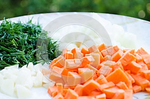 Sliced carrots, garlic, onions and dill. Orange and green. Greens and root vegetable. Healthy diet. Proper nutrition. Vegetables.