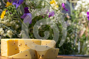 Sliced cheese with cumin on a wooden table. Celebration of a traditional holiday in Latvia Ligo in June
