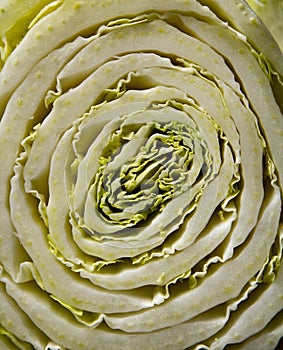 Sliced chinese cabbage close-up