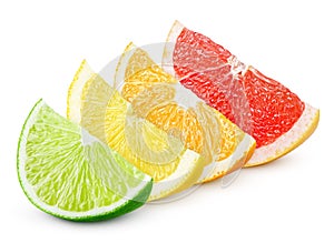 Sliced citrus fruit - lime, lemon, orange and grapefruit