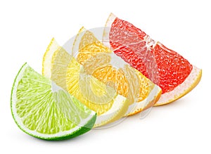 Sliced citrus fruit - lime, lemon, orange and grapefruit photo