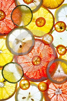 Sliced citrus fruits