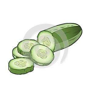 Sliced cucumber isolated on a white background. Co