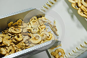 Sliced and dried apples on a conveyor belt in food processing facility