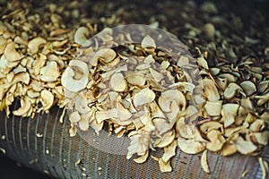 Sliced and dried apples on a conveyor belt in food processing facility