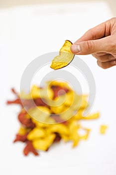 Sliced and dried apples on a conveyor belt in food processing facility