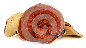 Sliced dried Lingzhi reishi mushroom. It is medicinal mushroom.