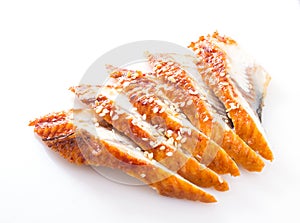 Sliced eel isolated