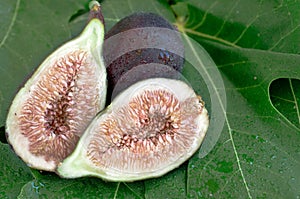 Sliced Figs with Water Drops