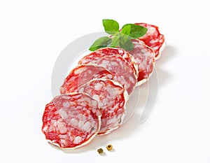 Sliced French Saucisson Sec