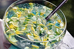 Sliced fresh lemon and ice in a bowl of beverage