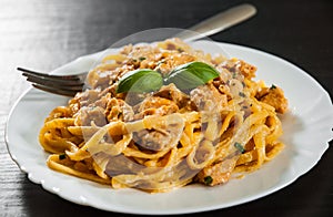 Sliced fried chicken breast meat in a creamy sauce with bavette pasta in a plate photo