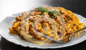 Sliced fried chicken breast meat in a creamy sauce with bavette pasta in a plate photo