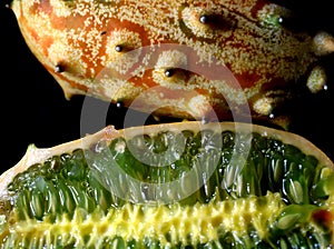 Sliced fruit Kivano Cucumis metuliferus  melon on black background