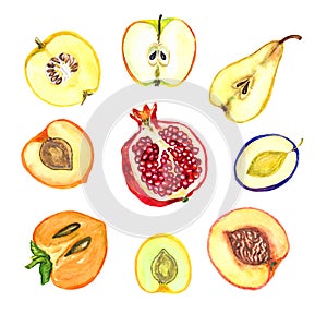 Sliced fruits collection, apple, pear, plum, apricot, sweet plum, peach, pomegranate, persimmon, quince