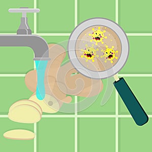 Sliced ginger root contaminated with microbes