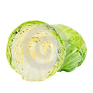 Sliced Green Cabbage