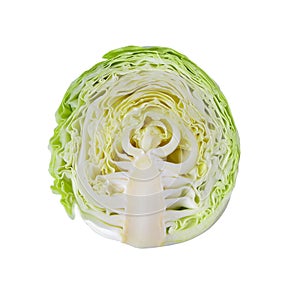 Sliced green cabbage on white background