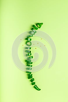 Sliced green chili pepper lying on color background