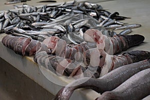 Sliced hakes for sale in the market