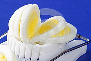 Sliced hard-boiled egg in egg slicer