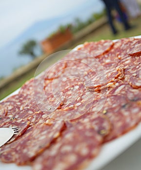 Sliced italian anti pasti stater of salami or pepperoni