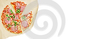 Sliced italian pizza salami, on paper,isolated.mockup with free copy space