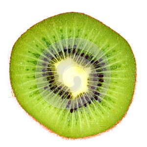 Sliced Kiwi