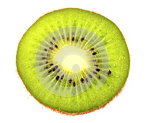 Sliced kiwi isolated