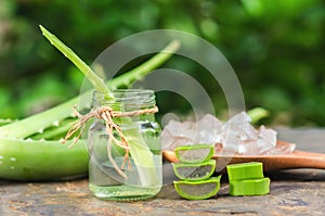 sliced and leaf of fresh aloe vera with essential oil