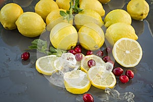 Sliced Lemons & Cranberrys