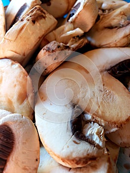 Sliced meaty mushrooms closeup