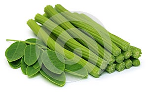 Sliced Moringa Oleifera or sonjna with leaves photo
