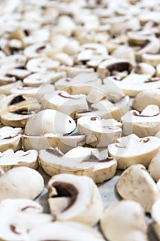 Sliced mushrooms laid out to dry. Close-up photo
